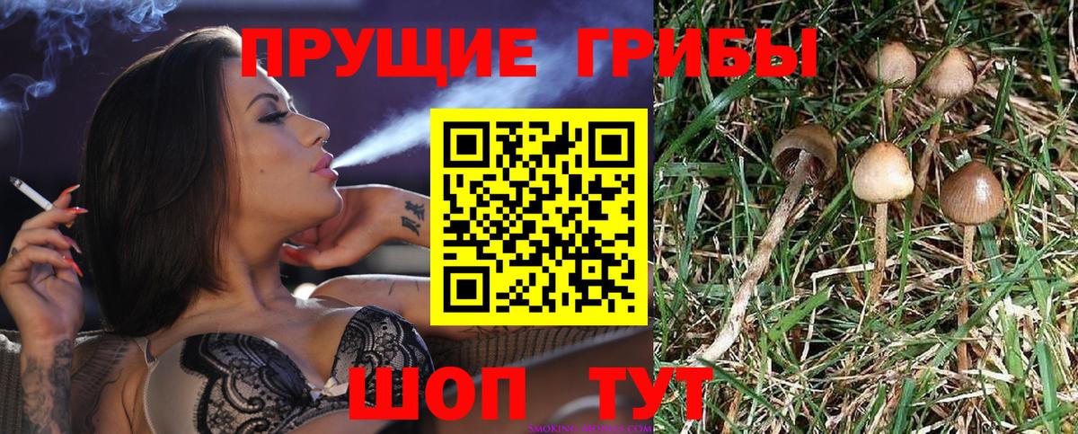 Галлюциногенные грибы мицелий  Галлюциногенные грибы мухоморы  Бердск 